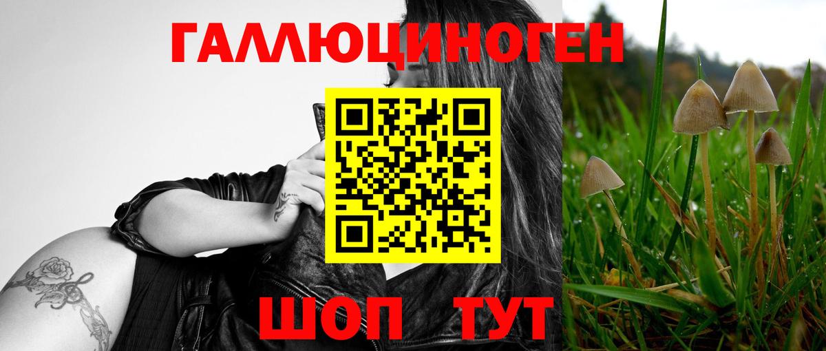 Зима  Галлюциногенные грибы Cubensis  Вход с VPN 